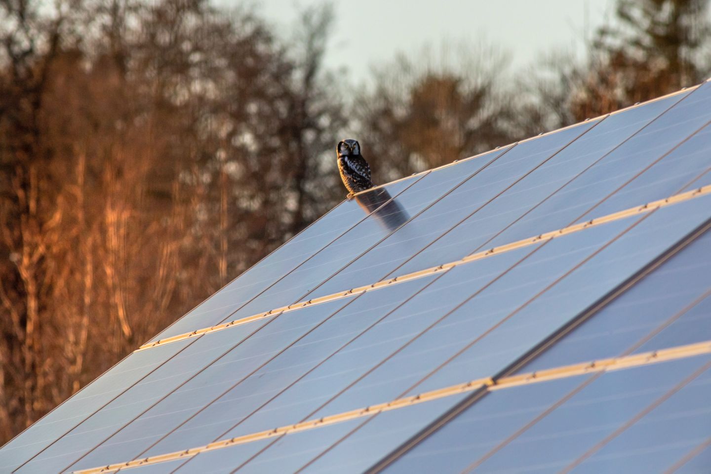 Solar-Solutions-Banner-08